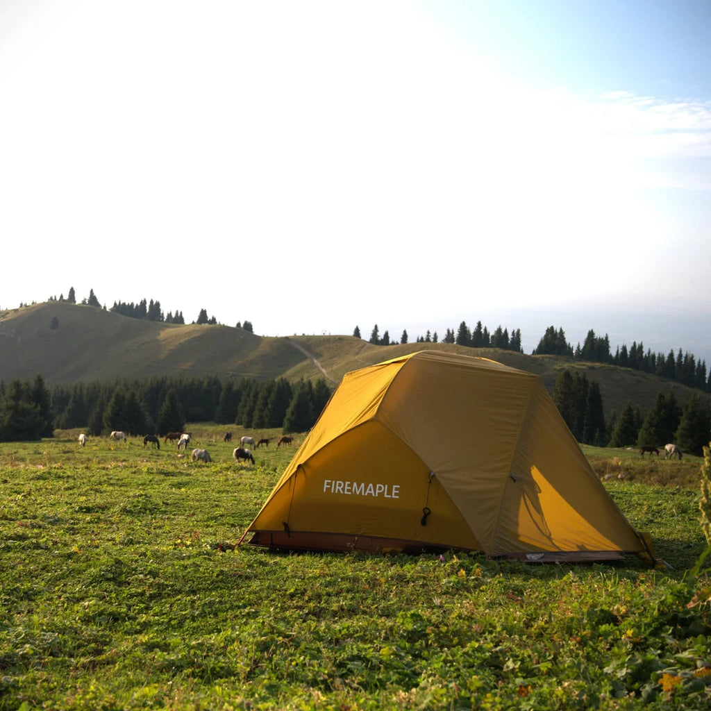 FireMaple Tropics 2 Person Backpacking Tent With Footprint